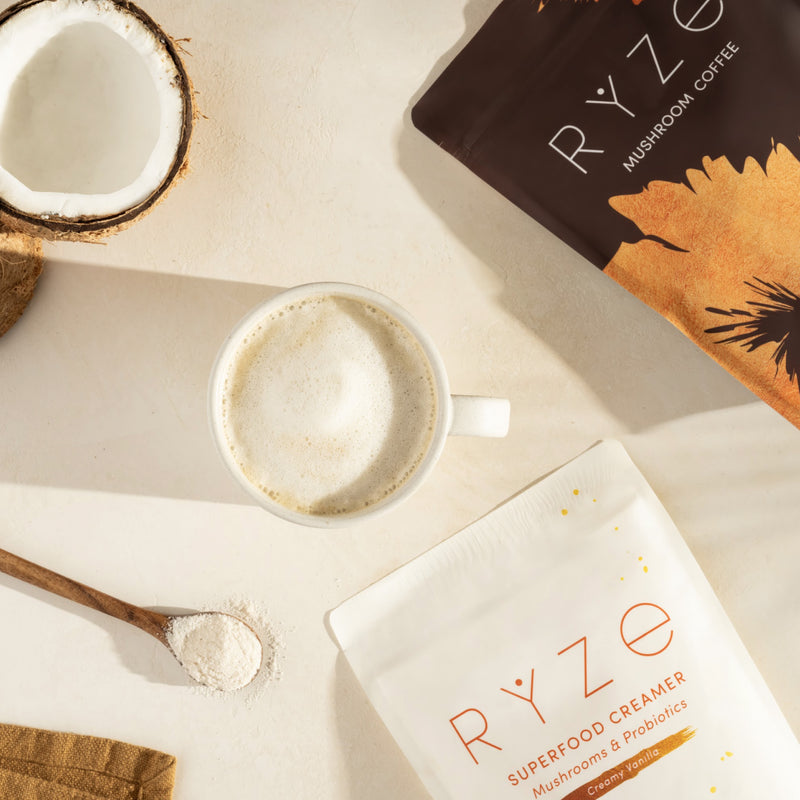 Vanilla + Hazelnut Superfood Creamer