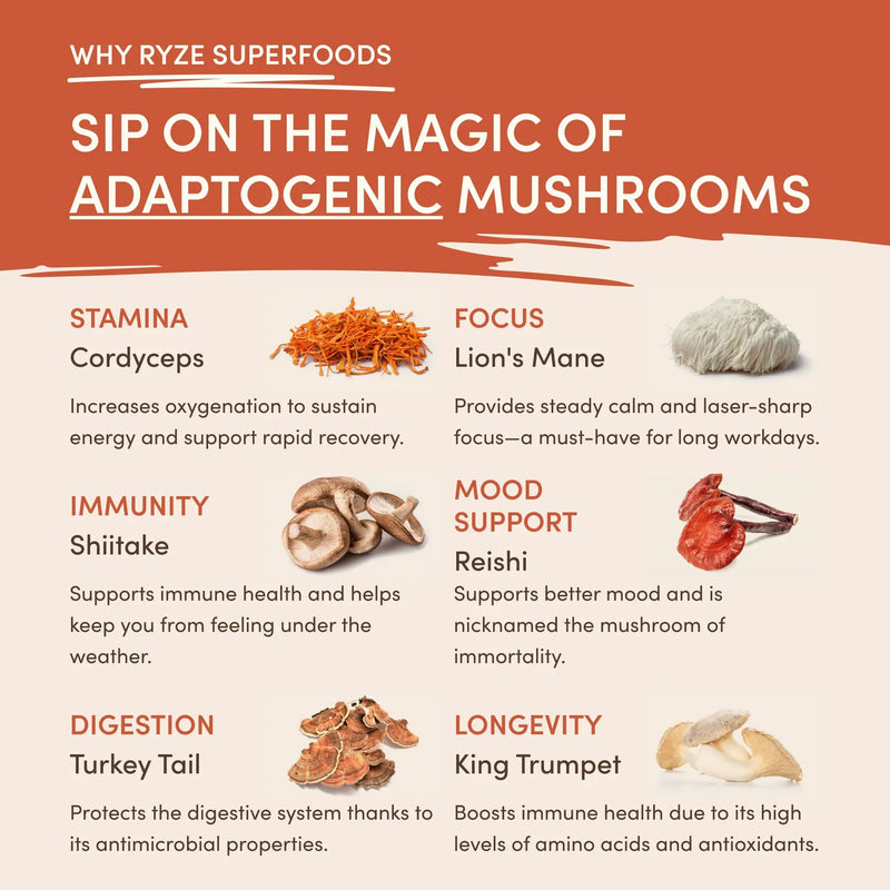 RYZE Mushroom Coffee — Organic Instant Coffee with Cordyceps \u0026 Reishi 30 Servings