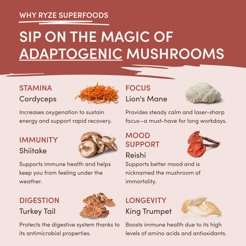 RYZE Mushroom Chicory — Organic Instant Chicory with Shitake \u0026 Lions mane 30 Servings