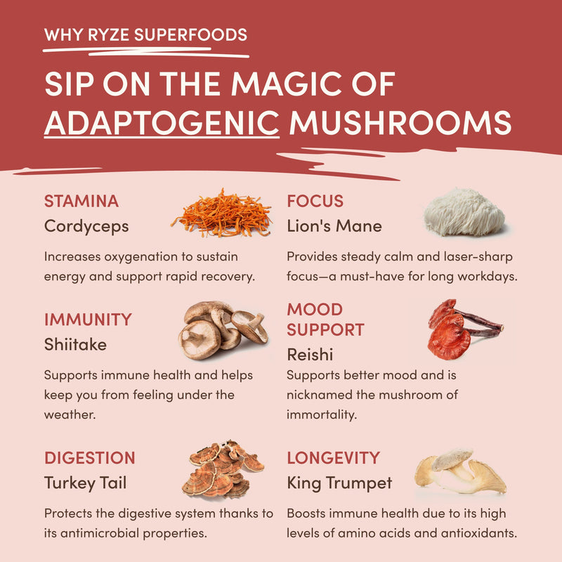 RYZE Mushroom Chai — Organic Instant Chai with Reishi \u0026 Organic Black Tea 20 Servings