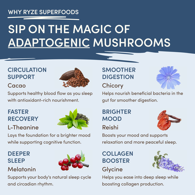 RYZE Mushroom Hot Cocoa — Organic Instant Cocoa with L-Theanine \u0026 Melatonin 20 Servings